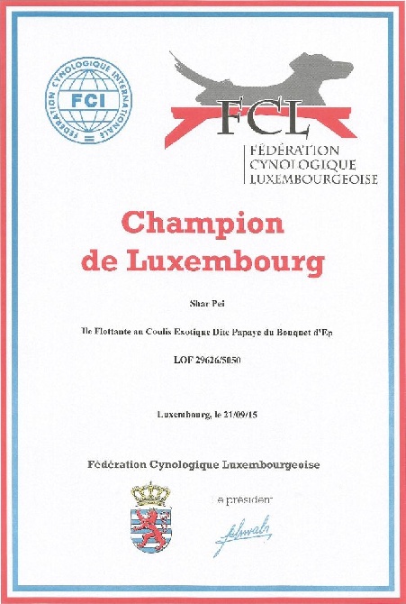 Des Lueurs Australes - Papaye Championne du Luxembourg