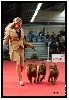  - Handling Paris Dog Show