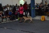  - Luxembourg Dog Show 28-3